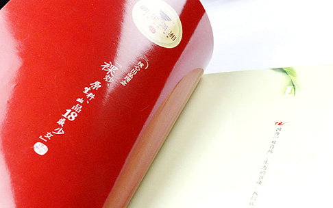 印象潇湘菜谱设计