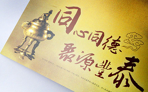 同丰泰保健品画册设计